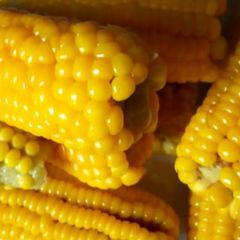 Boiled Corn A picture of Boiled Corn.