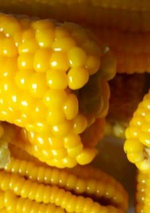 A picture of Boiled Corn.