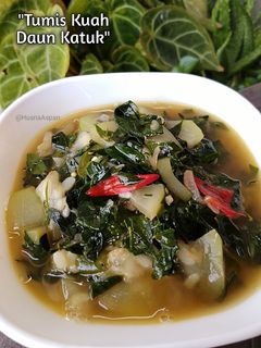 Foto resep Tumis Kuah Daun Katuk Labu Air