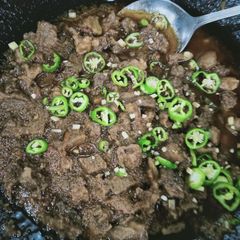 A picture of Tika Boti Salan.