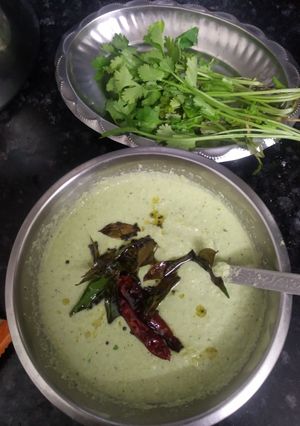 A picture of Coconut coriander leaves chutney.