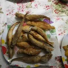 Foto di Frittura di paranza