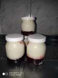 Yogurt casero