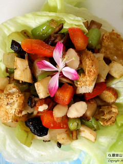 Vegan 創意蔬食🌿素萵苣蝦鬆(全素)｜觀音山薈供品捐贈｜愛心公益廣結善緣 的食譜成品照片