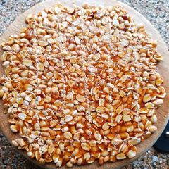 Sugar Peanut Chikki A picture of Sugar Peanut Chikki.