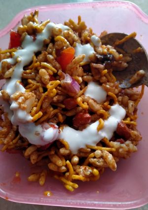ગામઠી ભેળ (Gamthi Bhel Recipe in Gujarati) રેસીપી મુખ્ય ફોટો