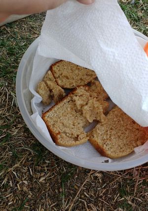 Una foto de Budín integral de coco