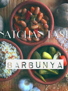 A picture of Barbunya | Pinto Beans.