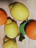 Bucce congelate