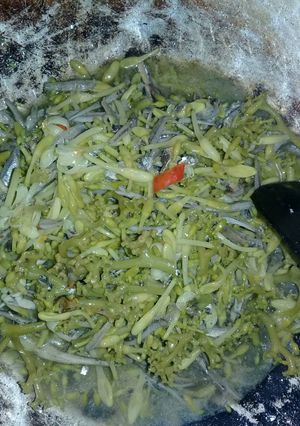 Foto resep Kembang gedang terii