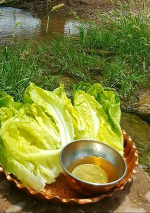 عکسی از دستور شربت سکنجبین