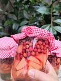 Conserva de murta y membrillo