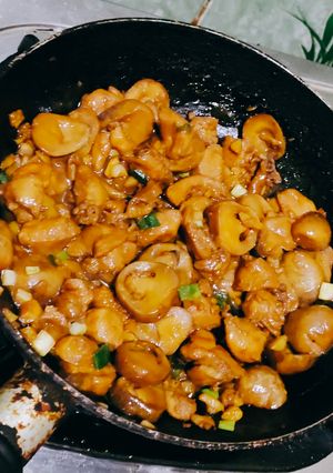 Foto resep Ayam Jamur Kecap