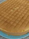 Bolu all in one margarine kocok lembut