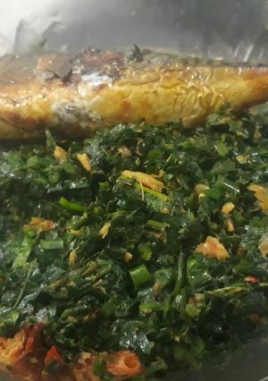A picture of Vegetable sauce.
