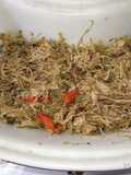 Harendong tumis pedas