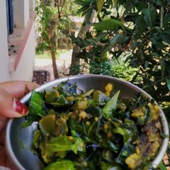 A picture of Neem brinjal.