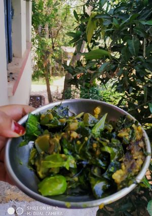 A picture of Neem brinjal.