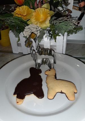 Csokis keksz rizslisztből recept fotója