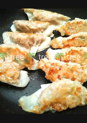 Foto resep Easy Gyoza homemade