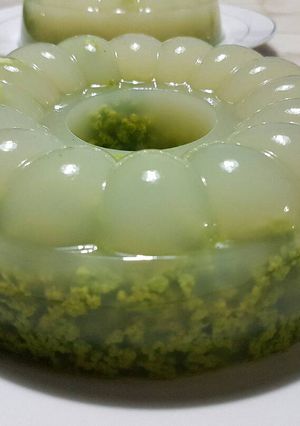 Foto resep Puding Lumut kekinian