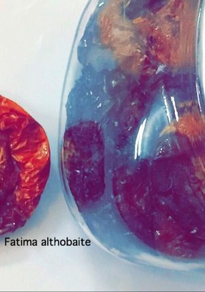 صورة لوصفة الطماطم المجففه 😋