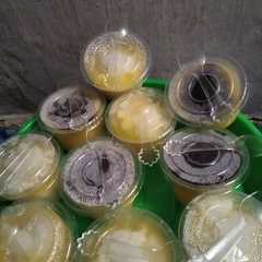 A picture of Puding rasa jeruk.