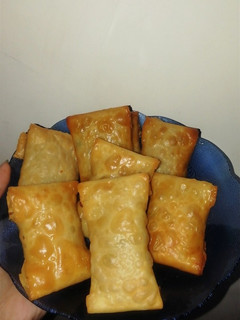 Foto resep Martabak telur (kulit pangsit)