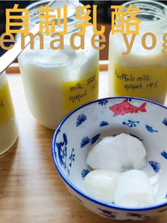 甜品教學|自制乳酪 其實很危險 詳盡解說乳酪形成/制作 (附影片) 的食譜成品照片