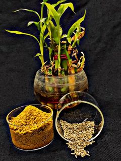 जीरावन मसाला (Jeeravan masala recipe in hindi) रेसिपी मुख्य फोटो