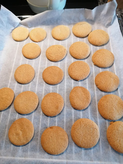Una foto de 180. Galletas semi integrales / masa en Panificadora