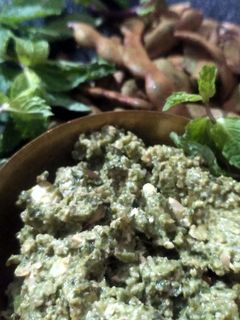 ફુદીના આંબલી ચટણી (Pudina Ambli Chutney Recipe In Gujarati) રેસીપી મુખ્ય ફોટો