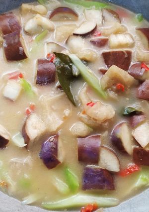 Foto resep Lodeh labu Siam, terong n kerecek (kerupuk kulit sapi)