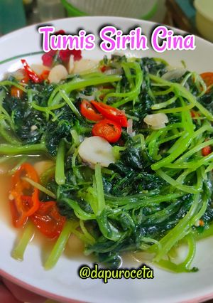 Foto resep Tumis Sirih Cina