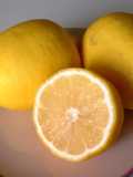 Limoni e uso del succo