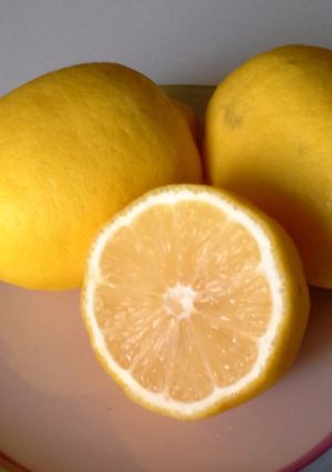 Foto di Limoni e uso del succo