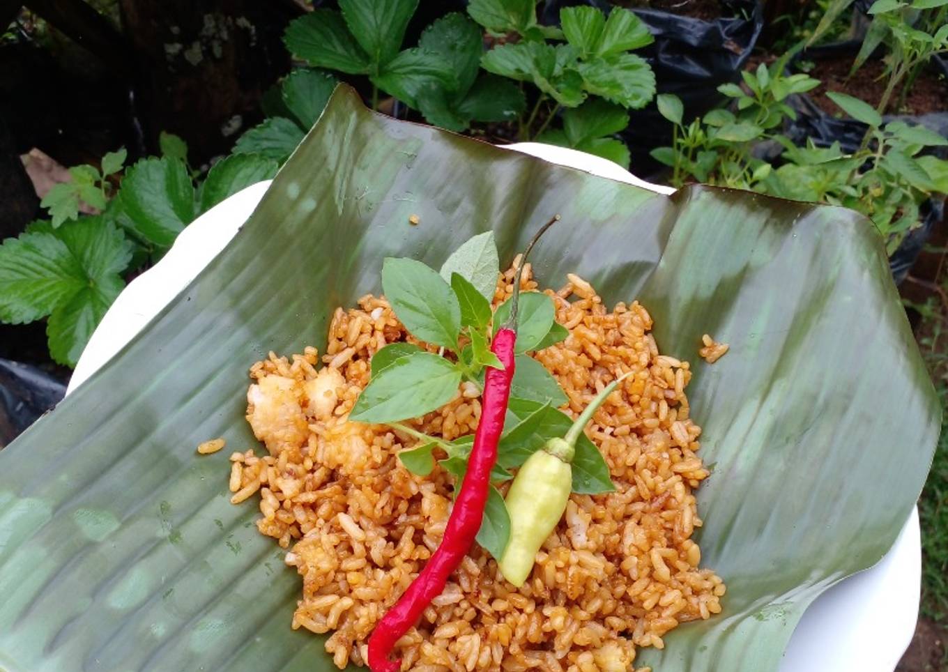 Nasi goreng tanggal tua