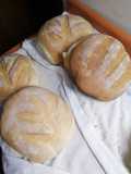 Pan de campo