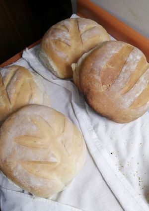 Una foto de Pan de campo