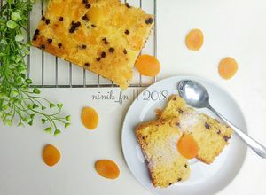 Foto resep Apricot Bread