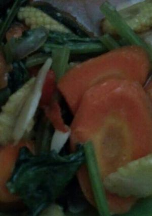 Foto resep Putren, wortel, sawi hijau sehat