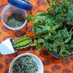 A picture of Mint dry rub.