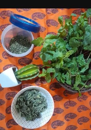 A picture of Mint dry rub.