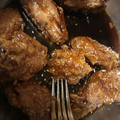 A picture of Aryca's Wings.