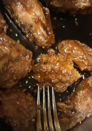 A picture of Aryca's Wings.