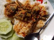 Gambar lokan padang