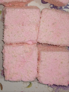 A picture of Marshmallow.