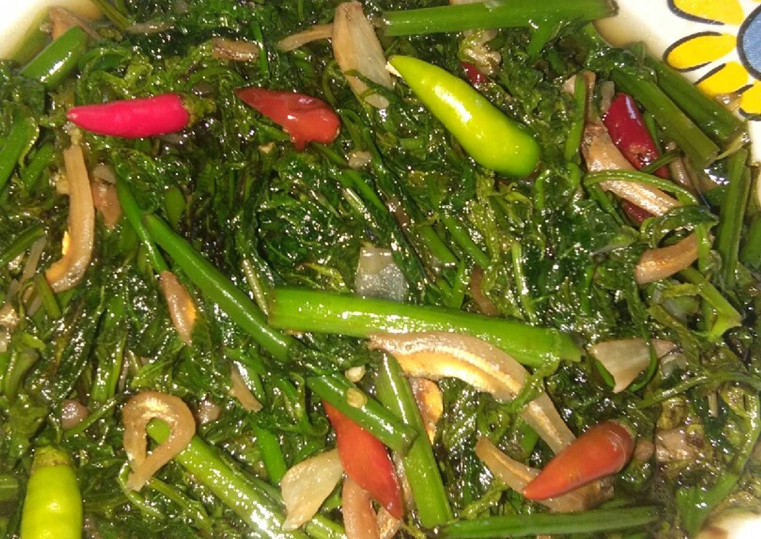 Resep Tumis Daun Pakis Ikan Teri Oleh Rini Satryo Cookpad