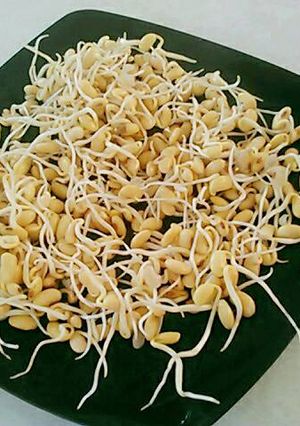Foto resep Tauge dari kacang kedelai