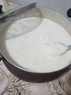 عکسی از دستور ماست خونگی